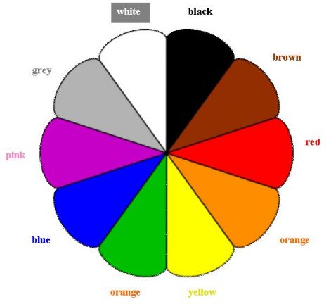 colours_for_webpage.jpg